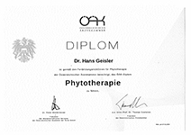 diplom08